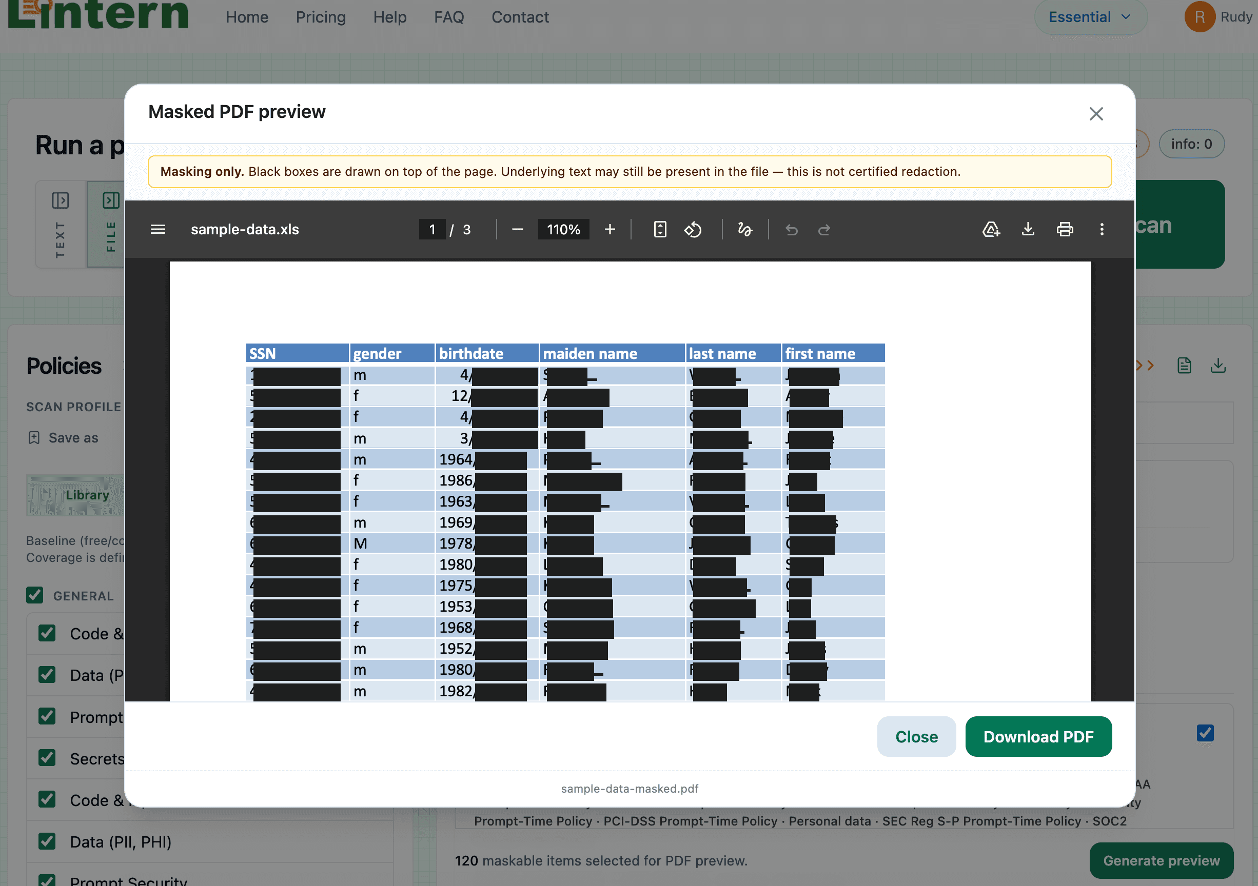Lintern review workflow with exports and structured results